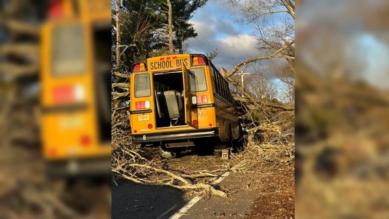 11 injured as tree falls onto NJ school bus